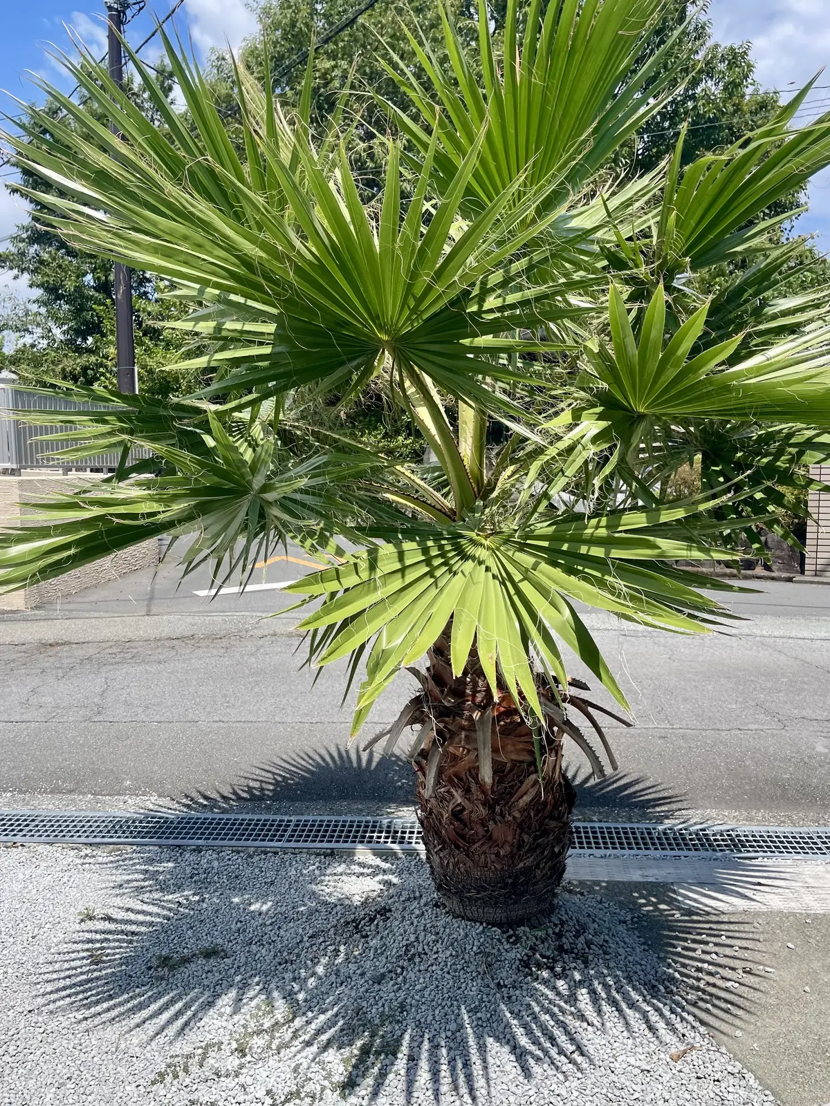 伊豆ライフのはじまりの画像_2