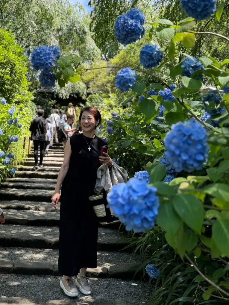 あじさいの花が咲き誇る初夏の北鎌倉明月院の画像_4