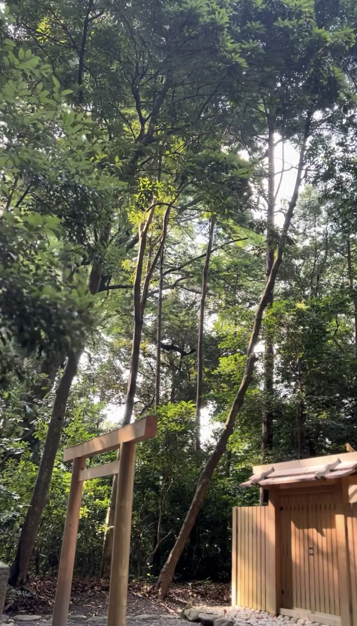 パワースポット【伊勢神宮】を巡る2日間①の画像_16