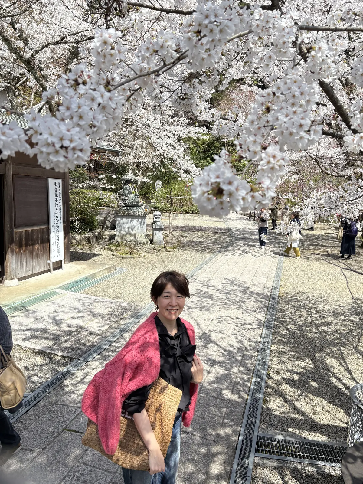 春の彩り、心に染みる長谷寺の桜の画像_8