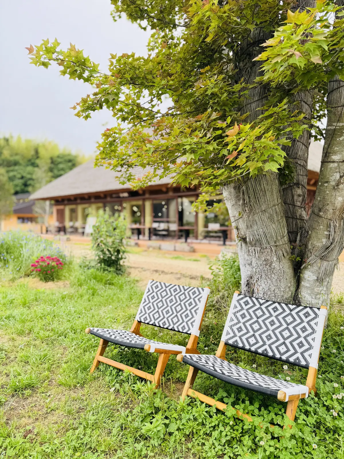 花盛り淡路島でフレンチを🍽️JマダムSAの画像_22