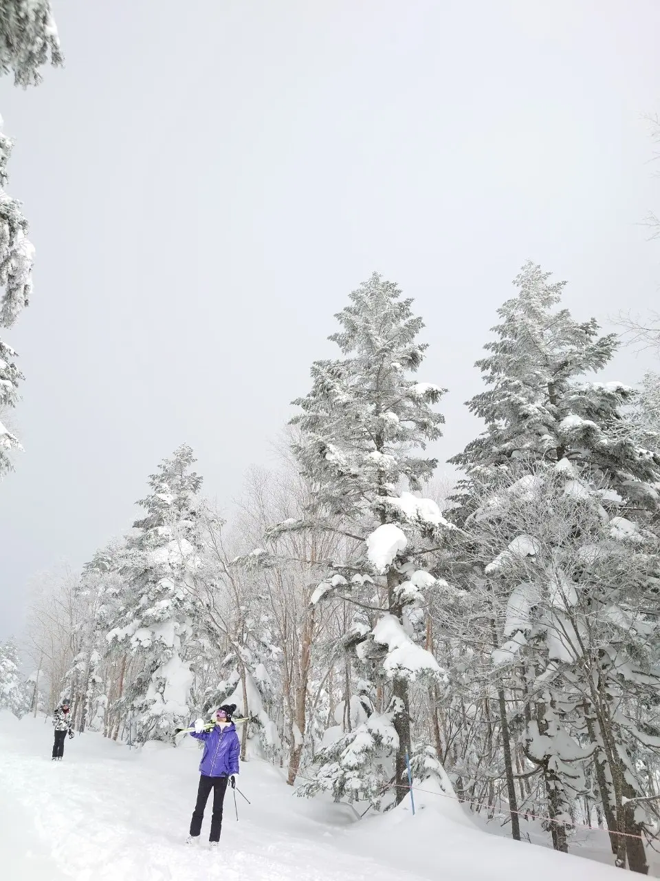 今季初滑りはパウダースノーが自慢の奥志賀の画像_3