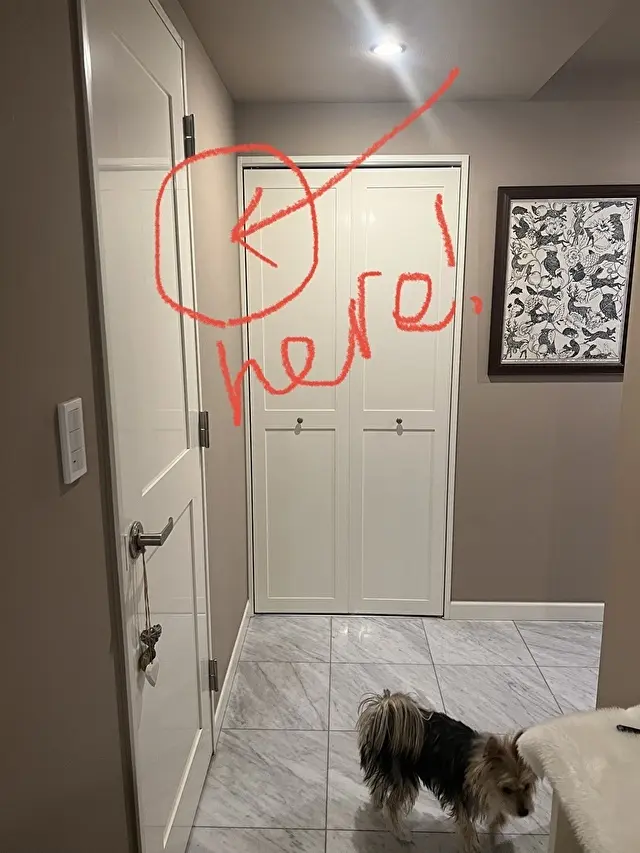 ここに飾ろうと計画！