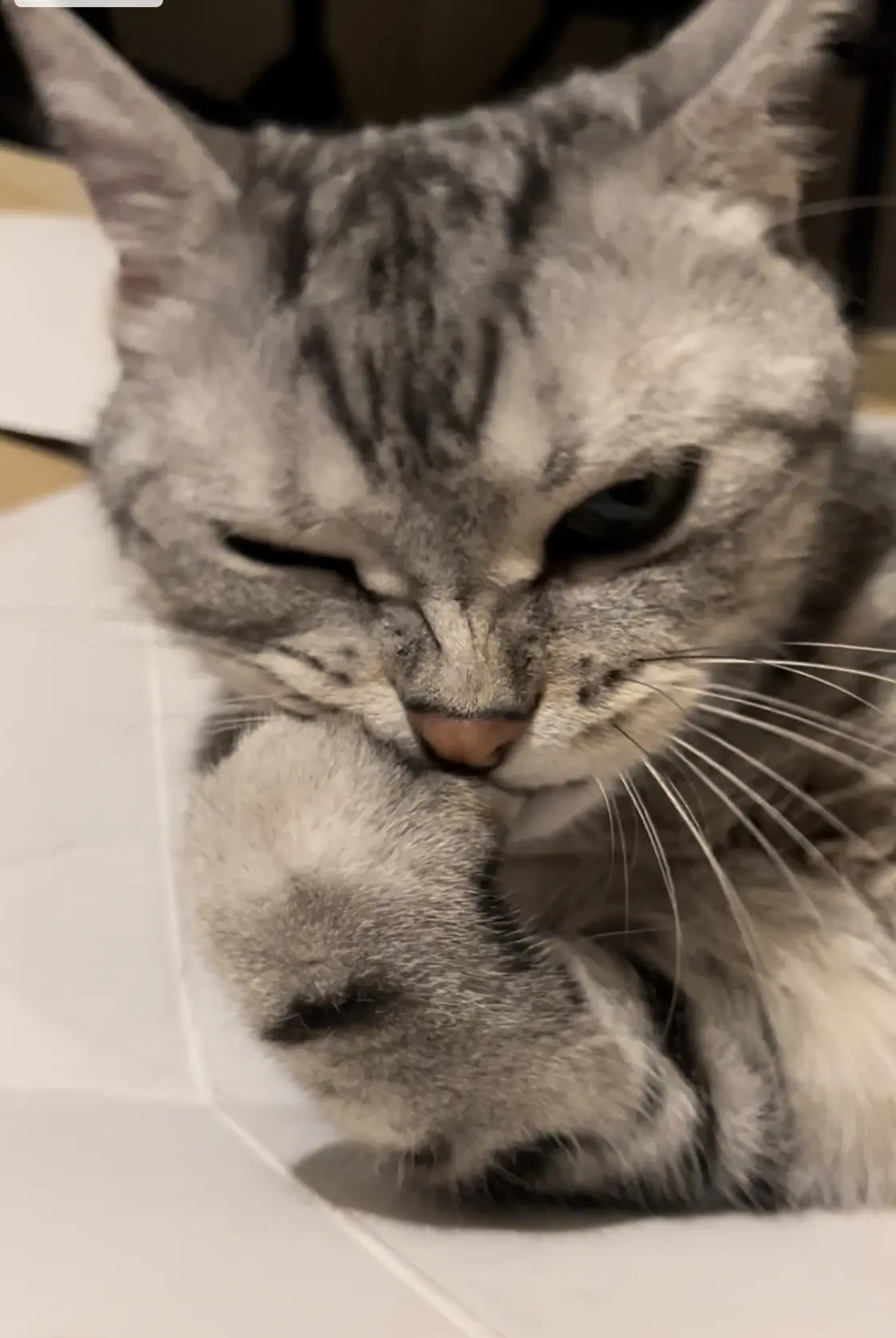 悪い顔になってる変顔アラン