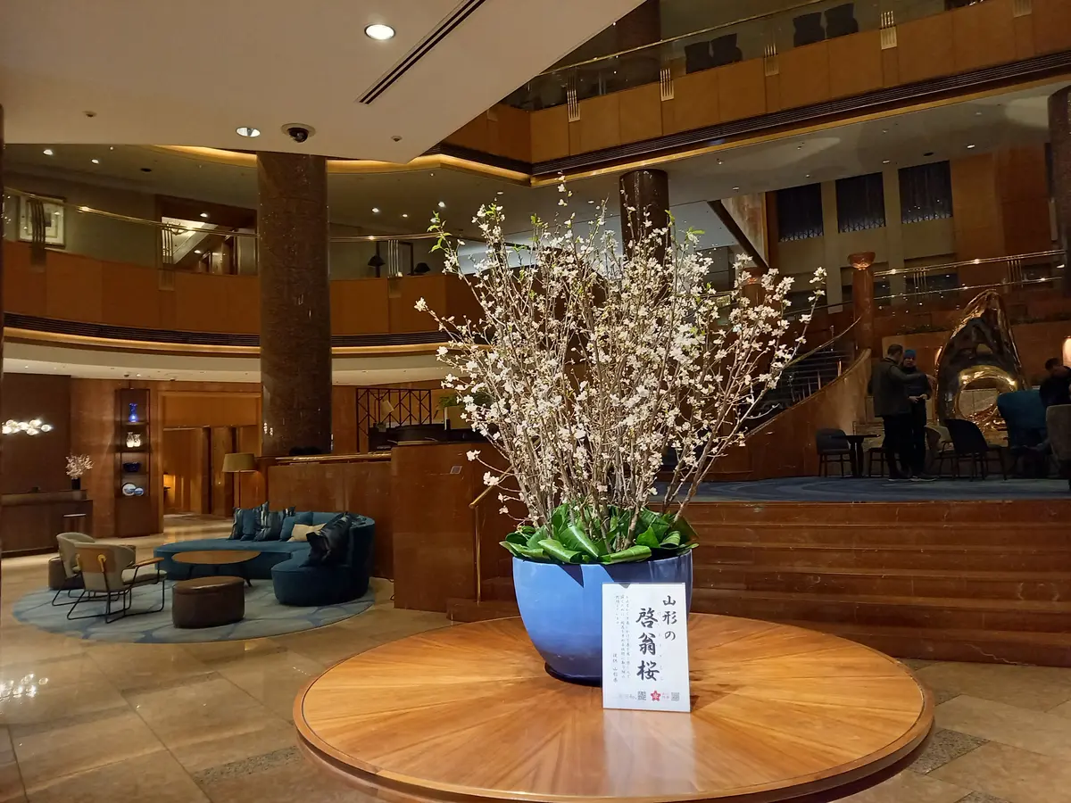 横浜ベイシェラトンホテル&タワーズでのんの画像_1