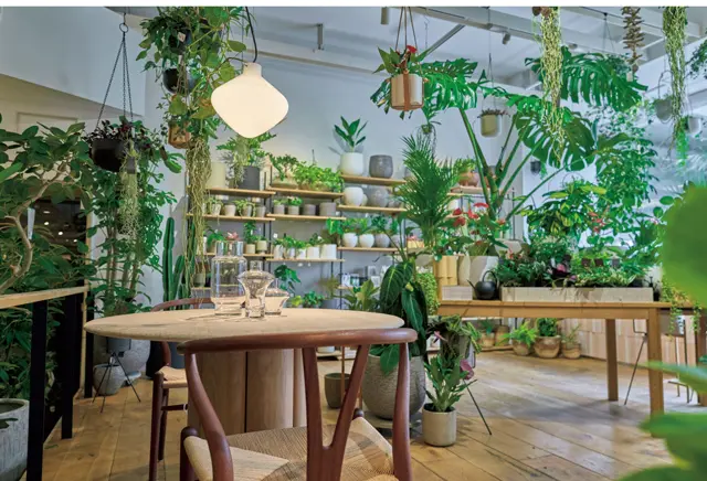 アクタス・新宿店