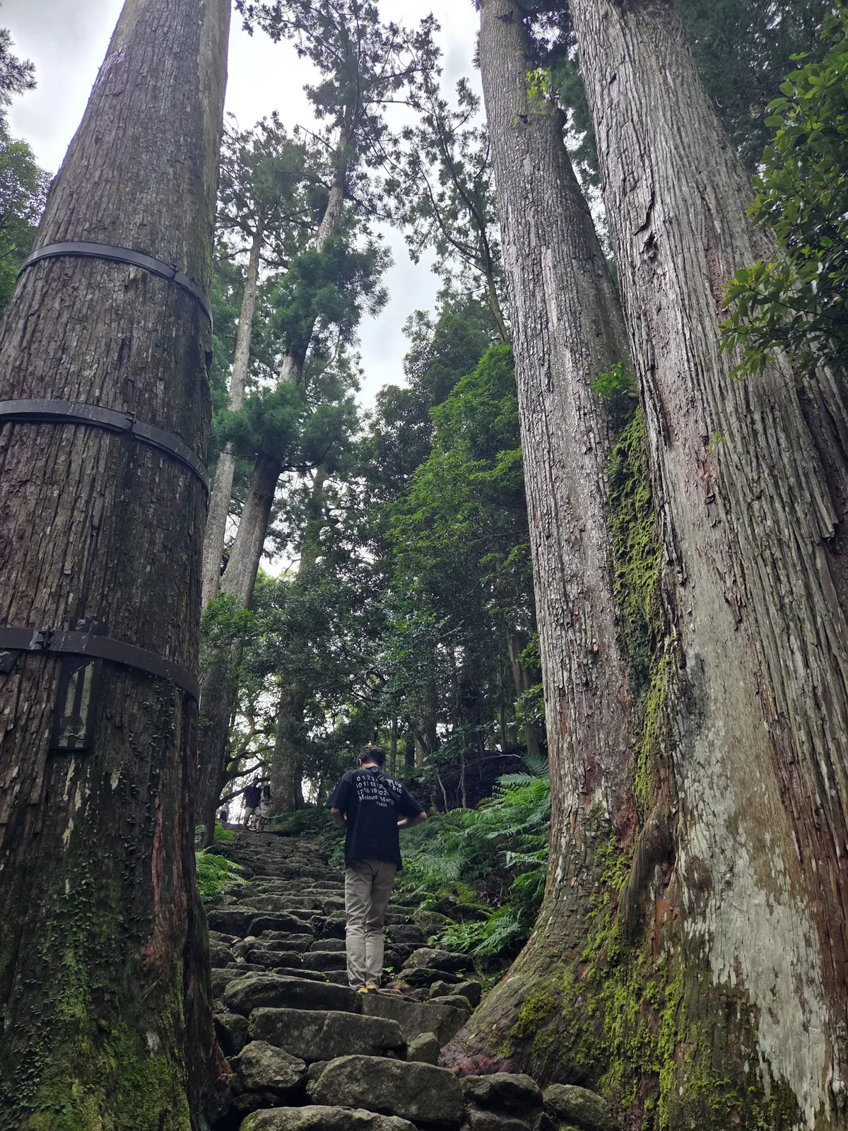 和歌山2泊3日　熊野古道にふれる世界遺産の画像_3