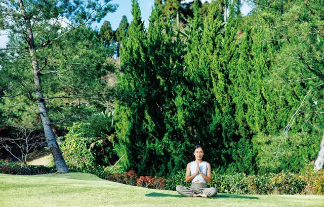 「シヴァラージャヨガ」の正式指導者である長島千比呂氏がヨガを指導