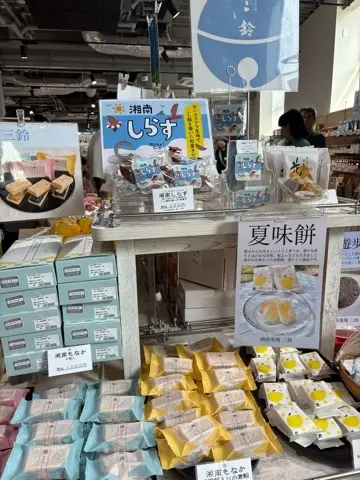 夏休み　湘南初！道の駅「湘南ちがさき」への画像_8