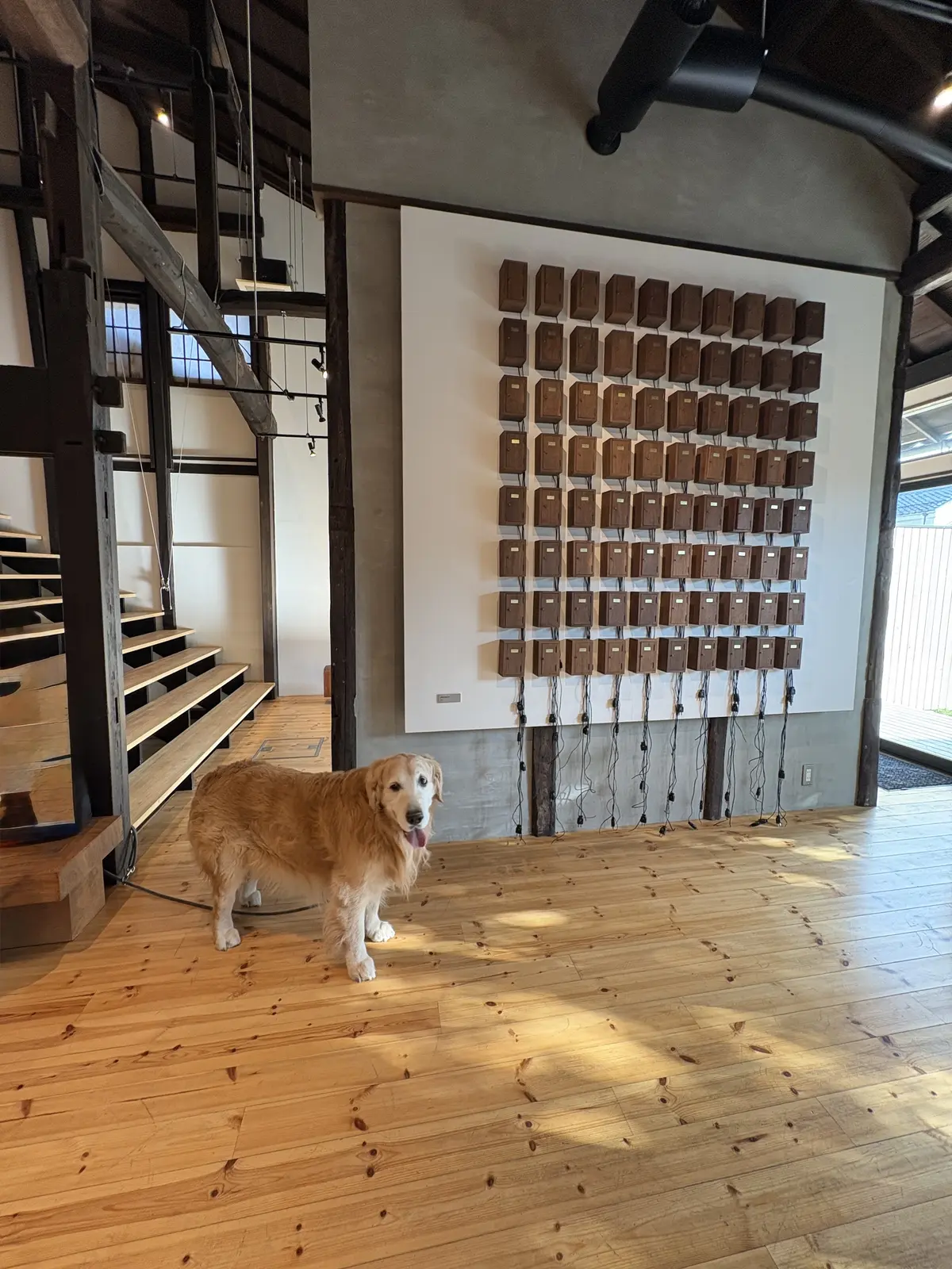 近江八幡さんぽと看板犬がいる「仁之助珈琲の画像_7