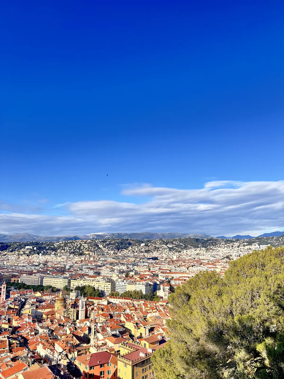 大人の冬旅in南フランス🇫🇷プラステ美デの画像_9