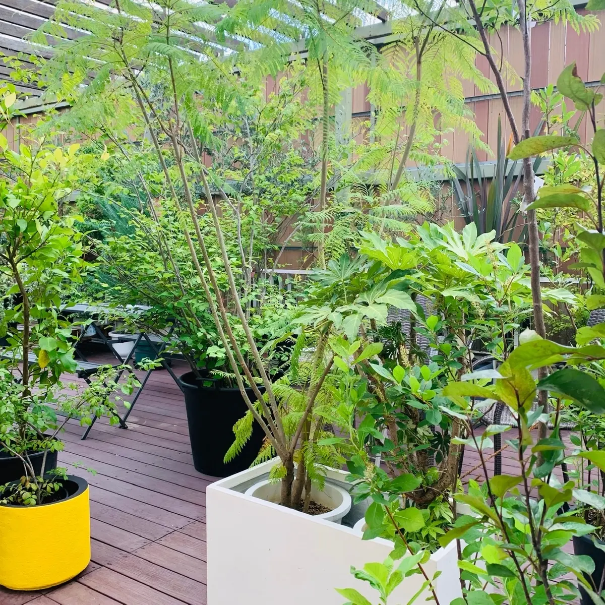 マイナスイオン