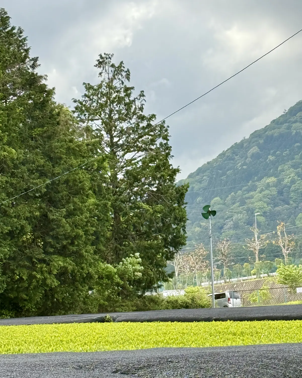 まだまだ知らない！三重の一番を発見した日の画像_1