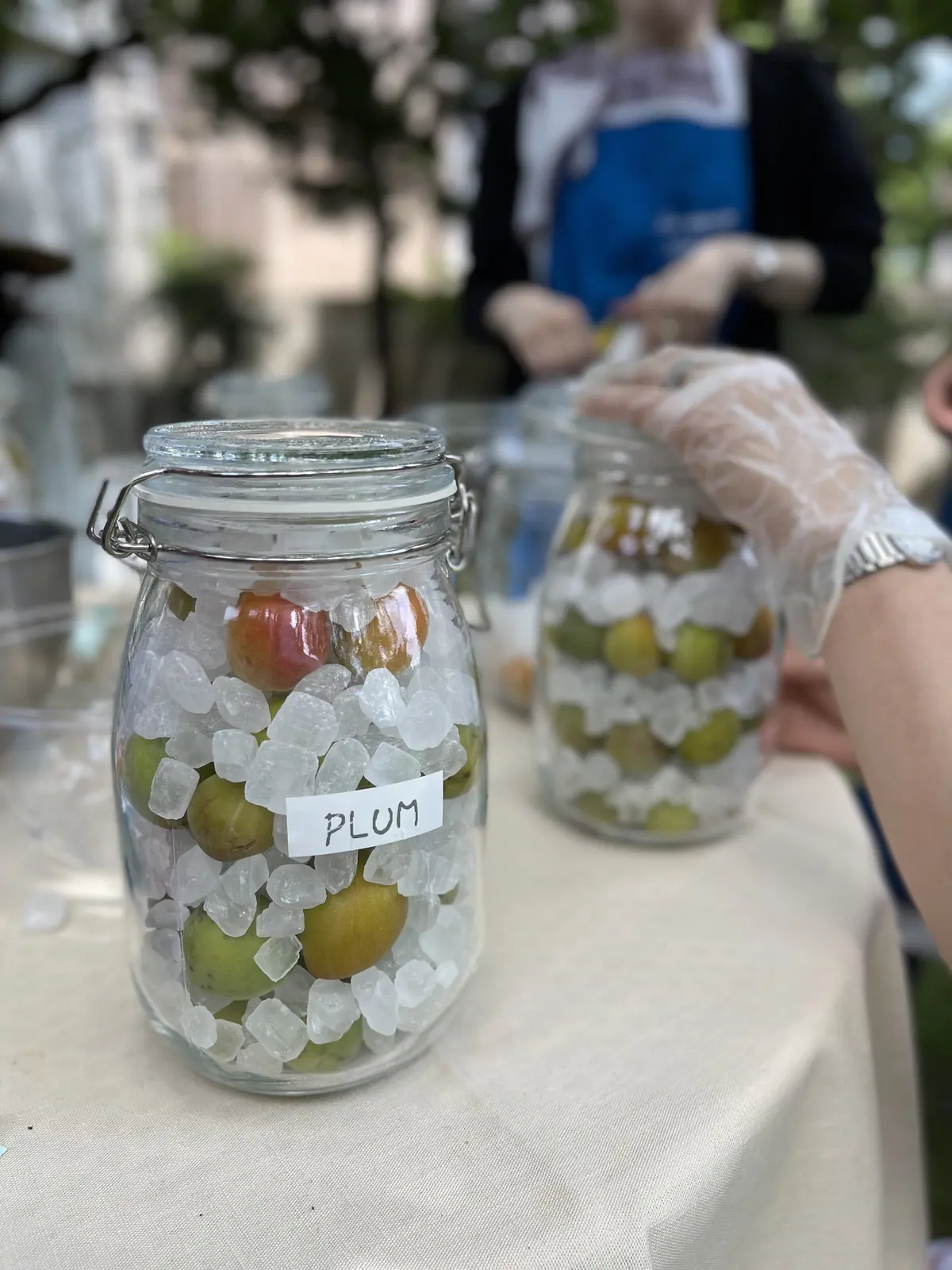 唯一無二♡素敵なガーデンで梅＆杏仕事のレの画像_6