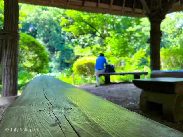 【さかぽんの冒険】まさか☆モネの絵画のよの画像_3