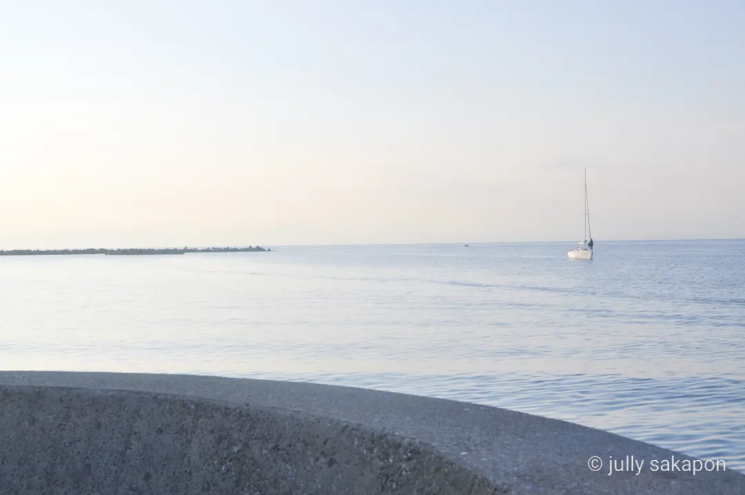 【さかぽんの冒険】三崎マグロきっぷ❤️海の画像_19