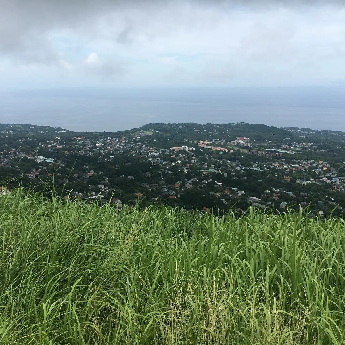 すばらしい景色です