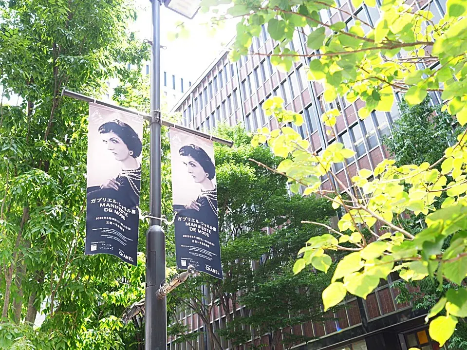 今年の夏は大人ボブを楽しみます。の画像_9