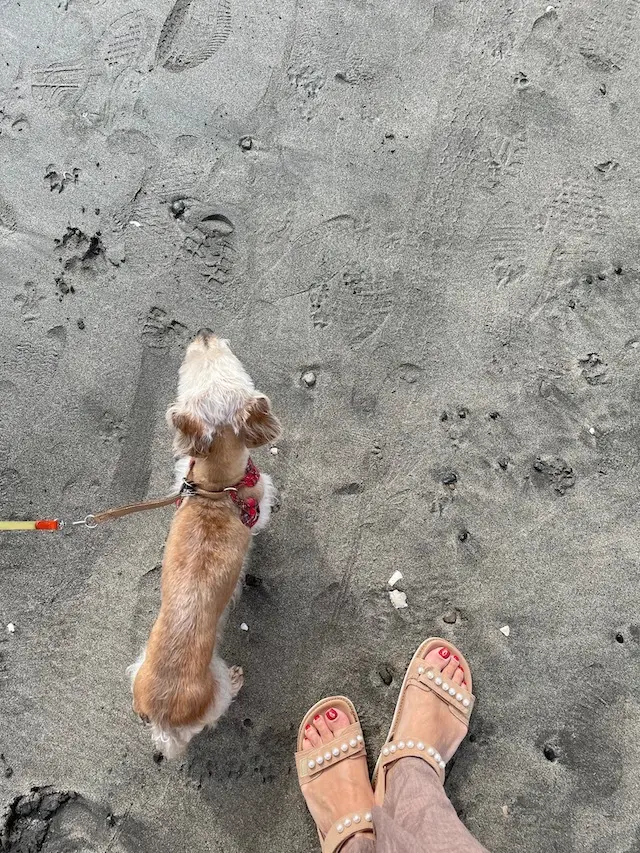 スポサン　海　湘南　サンダル　パール　フェミニン