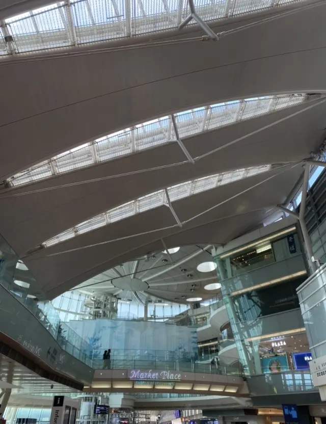 夏の北海道へ、テイクオフ✨の画像_2