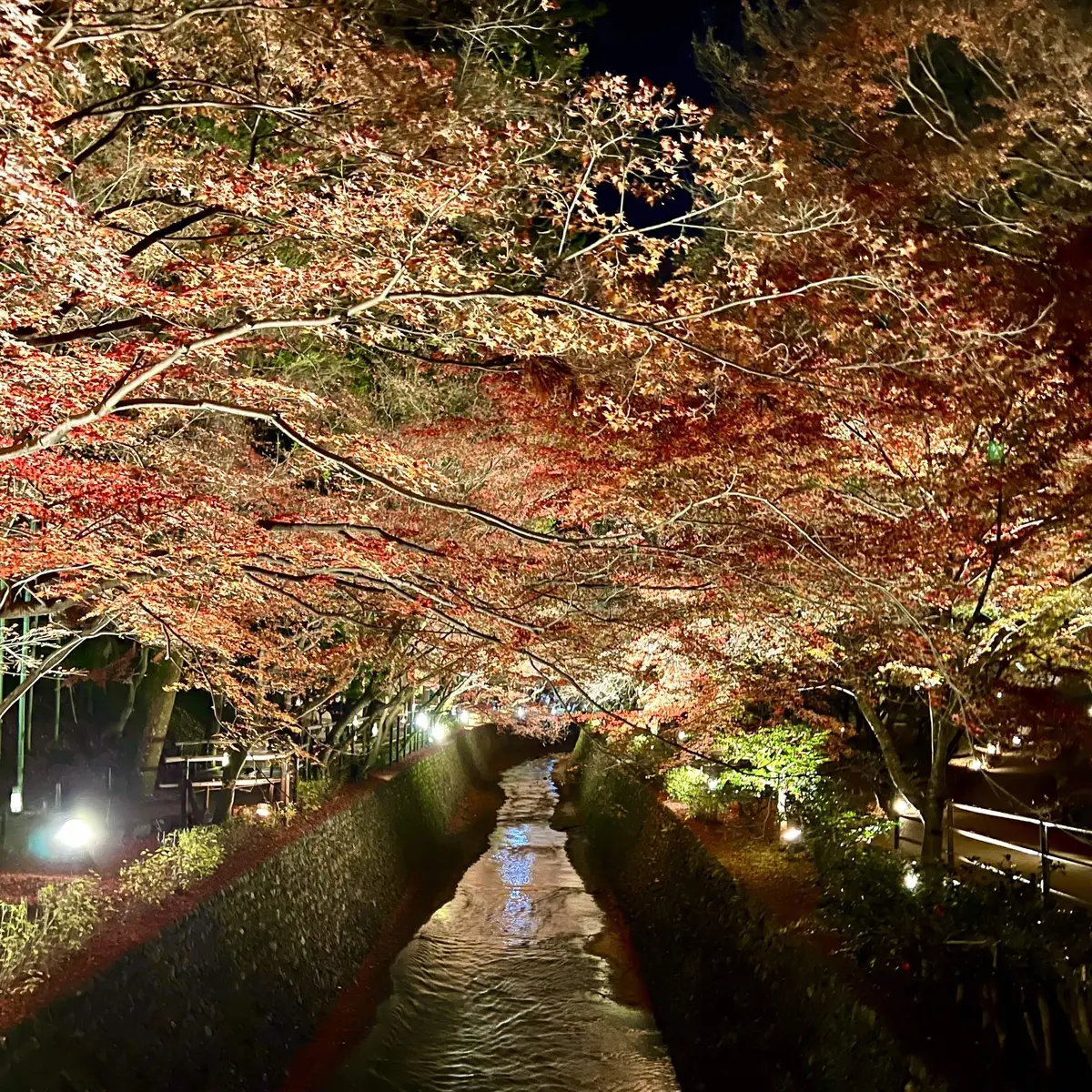 北野天満宮「もみじ苑」