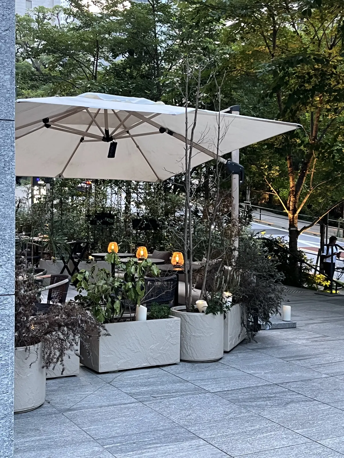 【大人ディナー】シャンパンフリーフローのの画像_5