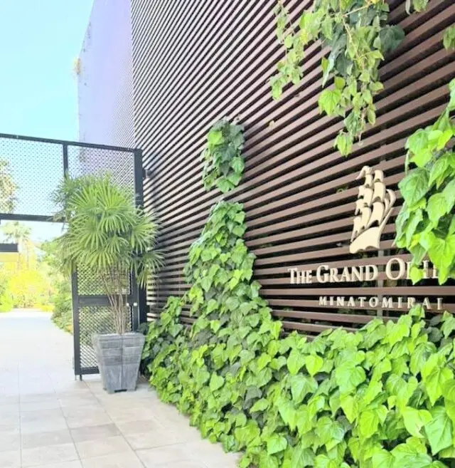 春のランチパーティー♡ワンピースの装い の画像_11