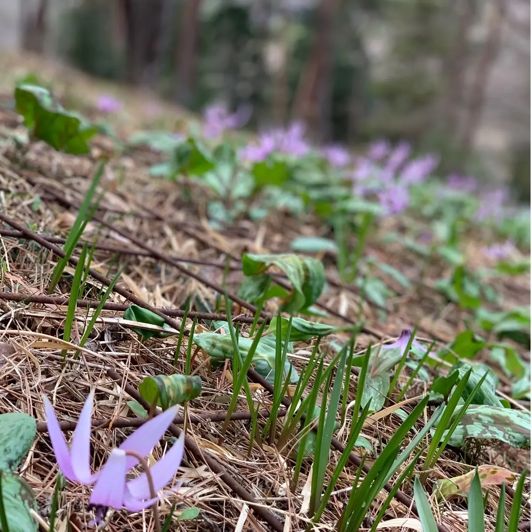 世界最大級の陶磁器美術館への画像_1