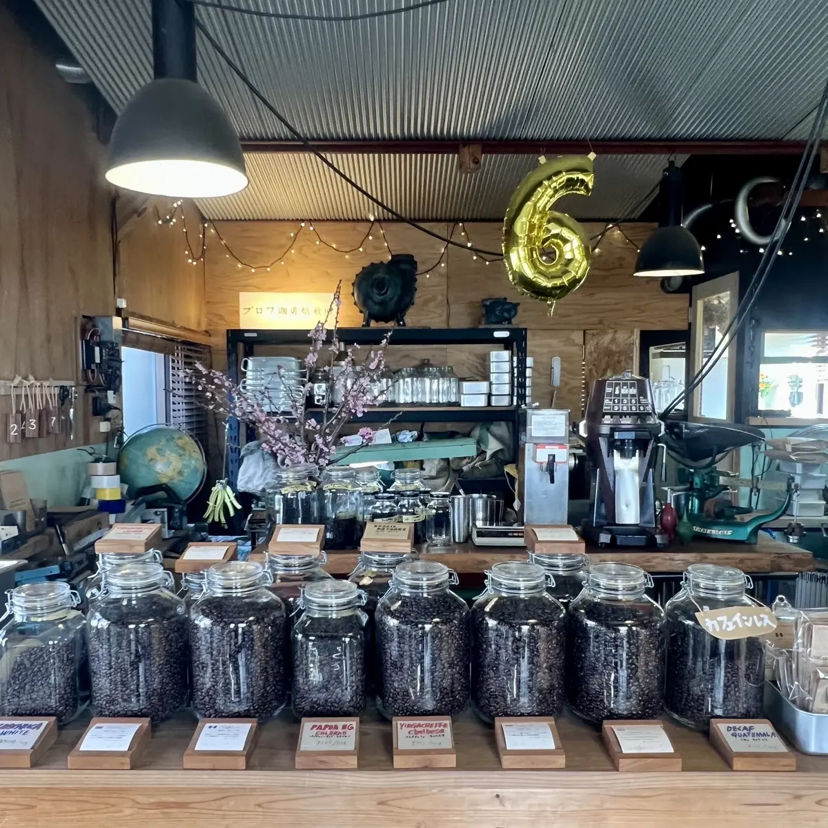 春のお出かけ♪南房総へ花摘みに行ったら最の画像_6