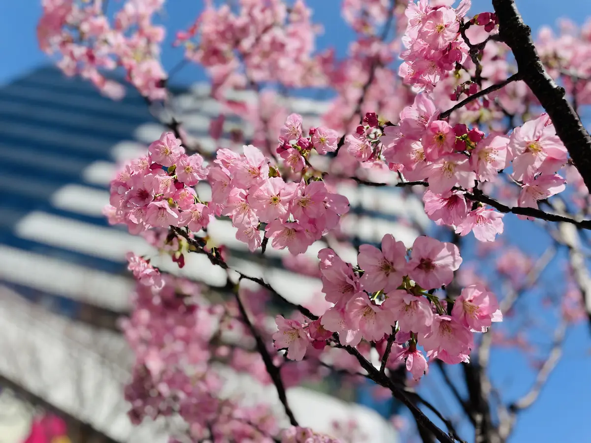 熱烈映画鑑賞♡TOHOシネマズ日比谷〜渋の画像_1
