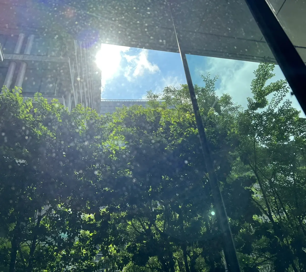 大人のわがままを叶えてくれる絶品パンツ@の画像_14