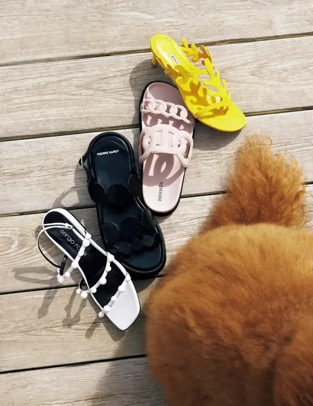 足もとで堪能するブランドの表情豊かなモチーフ