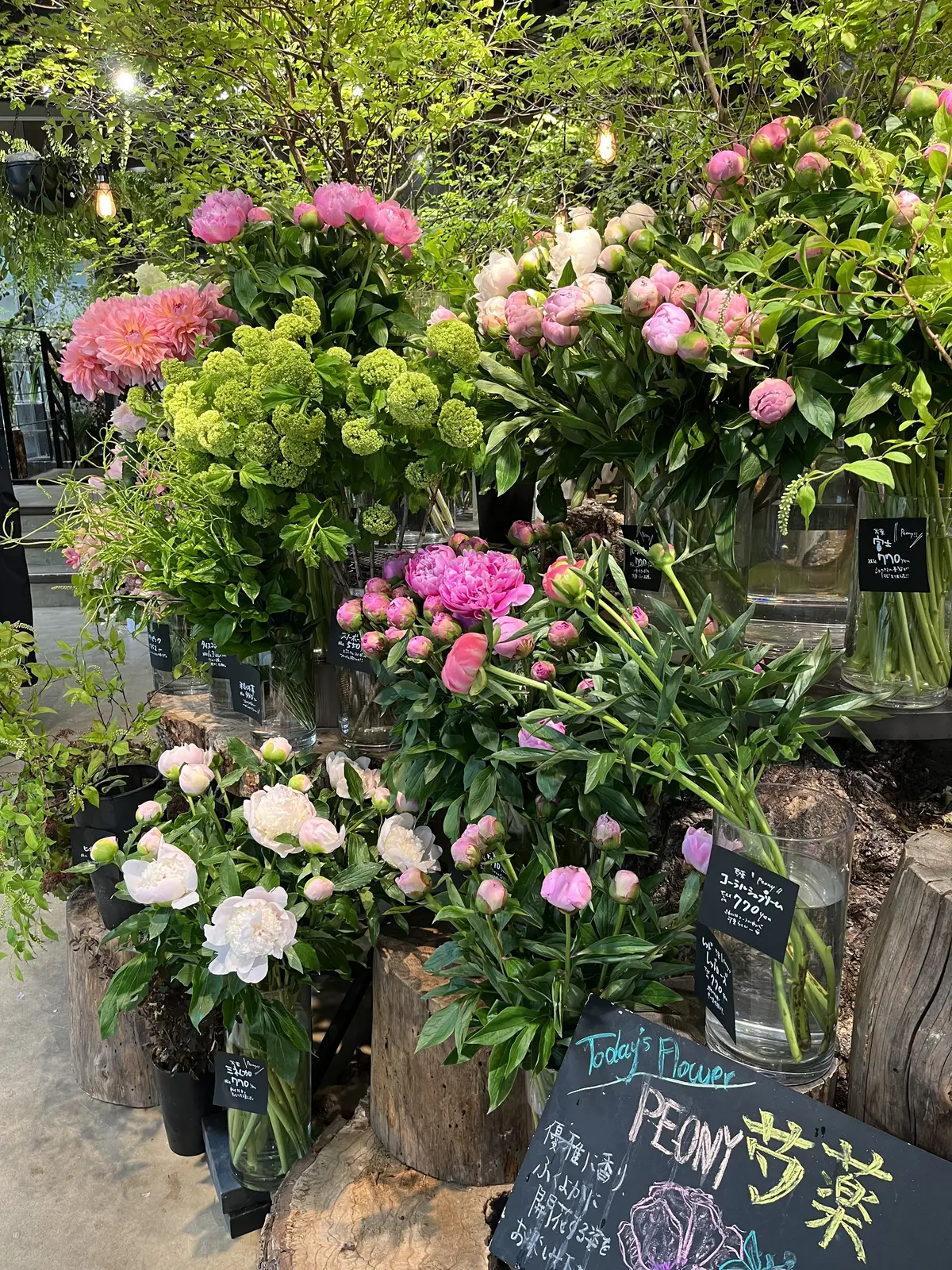 せっかくのお出かけも、雨でプチプラブラッの画像_9