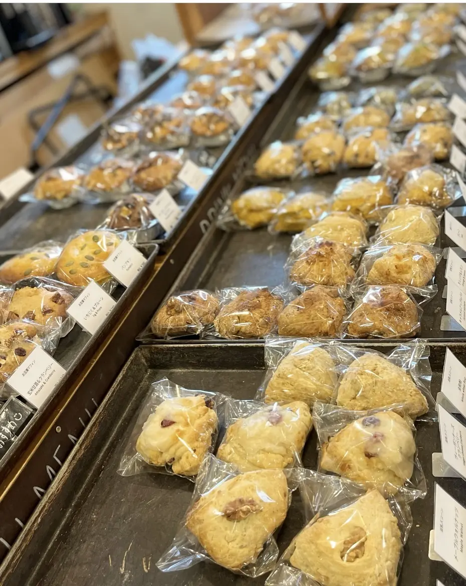 グリーンの初オールインワンで美術館♩の画像_8