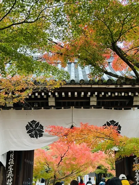 秋の京都巡り♡紅葉の永観堂（禅林寺）〜 の画像_25