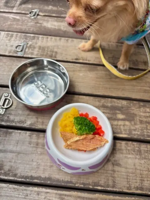 広大な農園のカフェで美味しい鉢植え（パフの画像_3