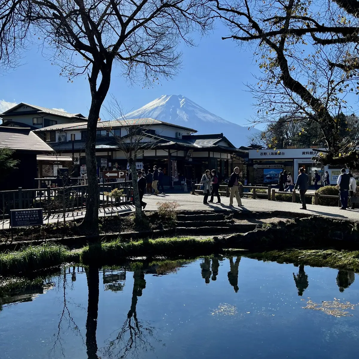 忍野八海「湧池」