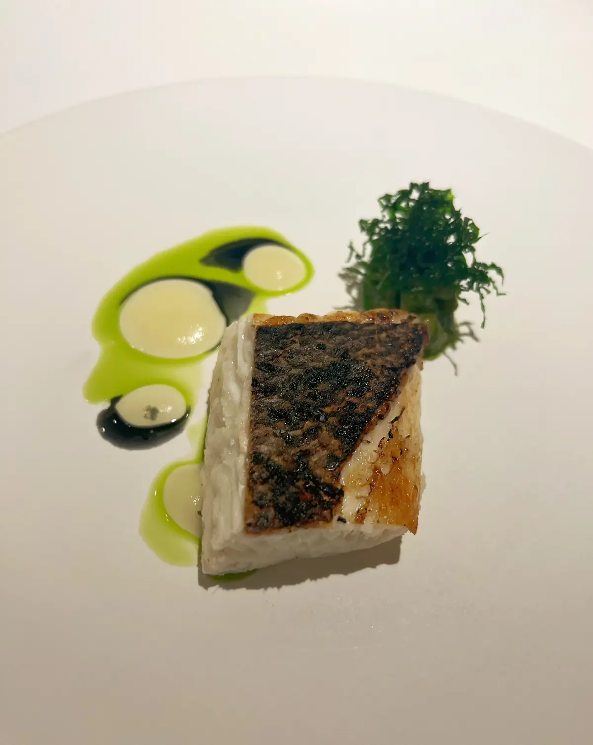 銀座でイチ推しレストラン‼︎の画像_9