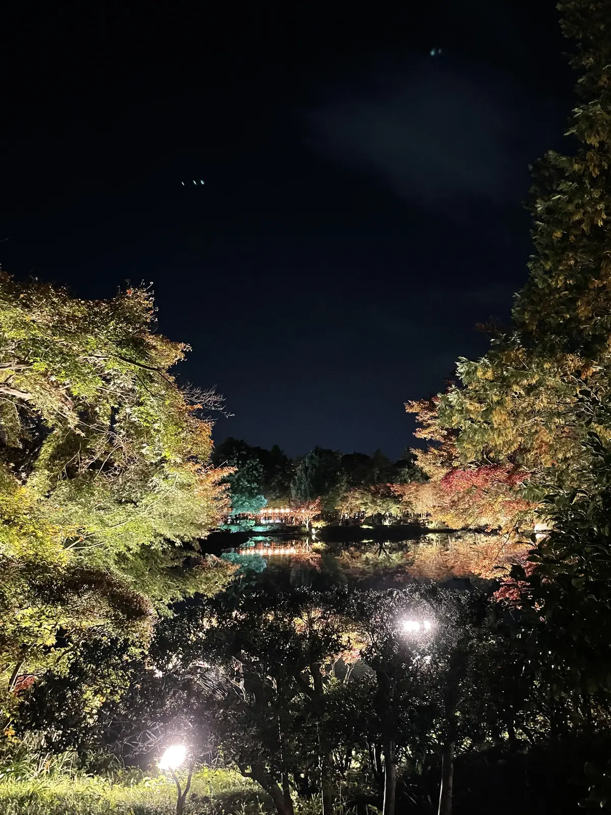 秋の夜散歩は最高に美しい景色でした。の画像_4