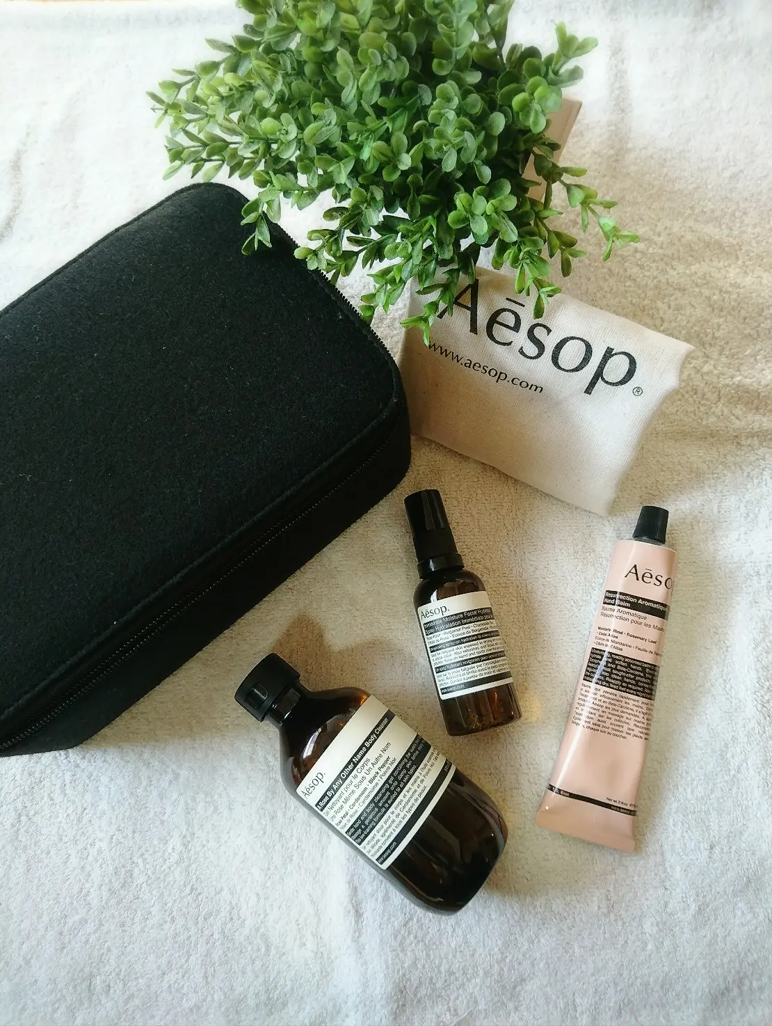 イソップの画像_2