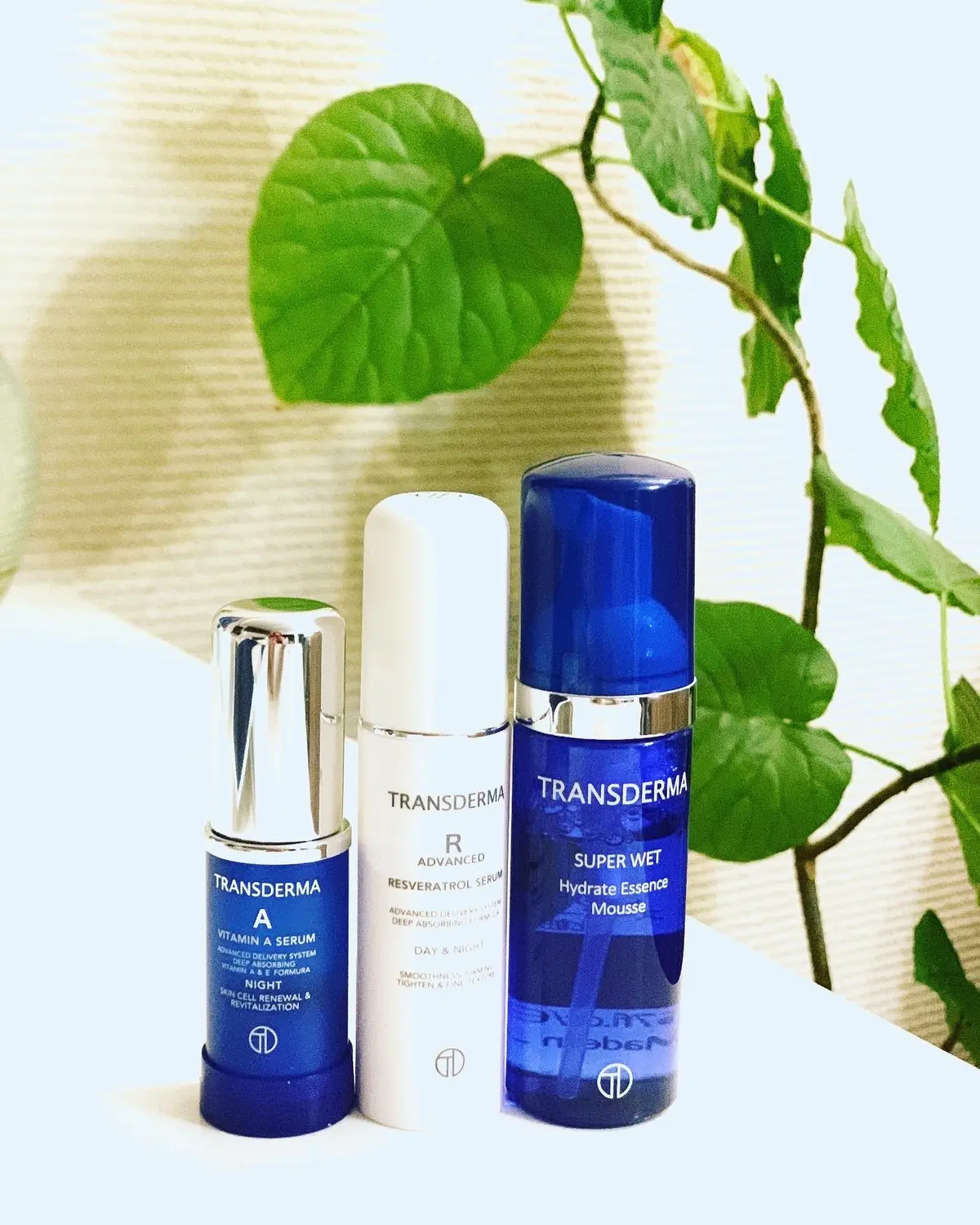 トランスダーマ✨ゴールデントリオの画像_3