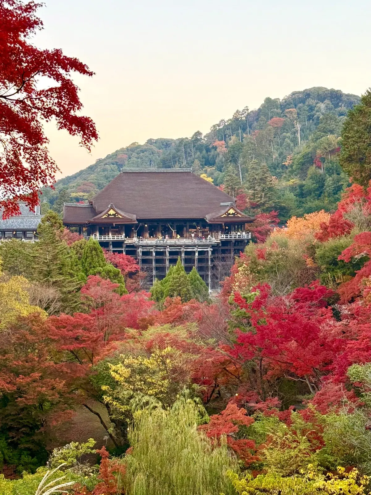 【大人の京都】寺院仏閣とお気に入りの秋のの画像_14