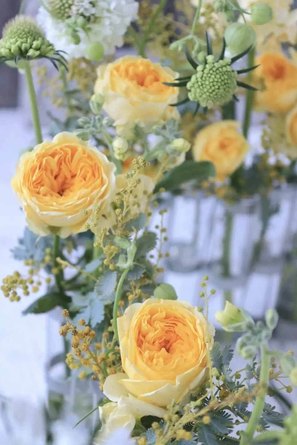 四月の花器　Vase d’avril　Tsé & Tsé associées ツェツェ・アソシエ