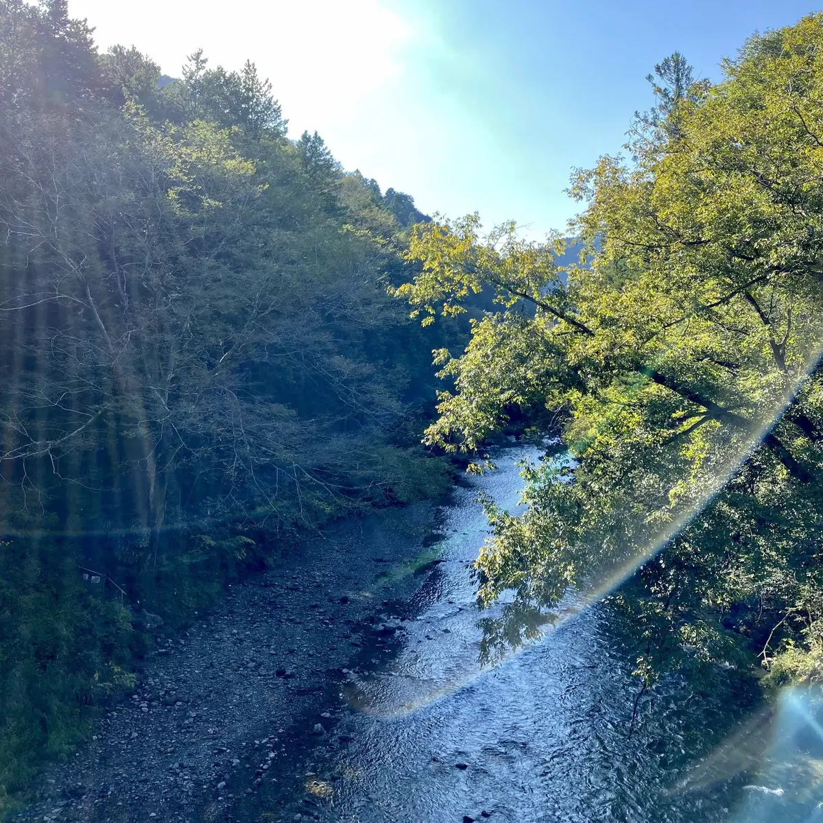 川がとても綺麗でした