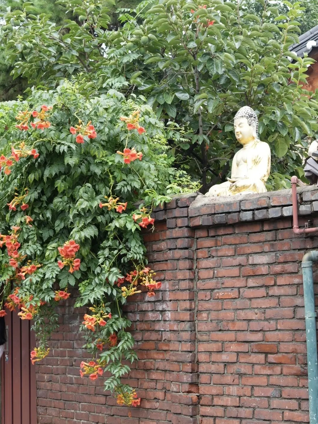 好きが詰まった韓国旅行③🇰🇷✨の画像_13