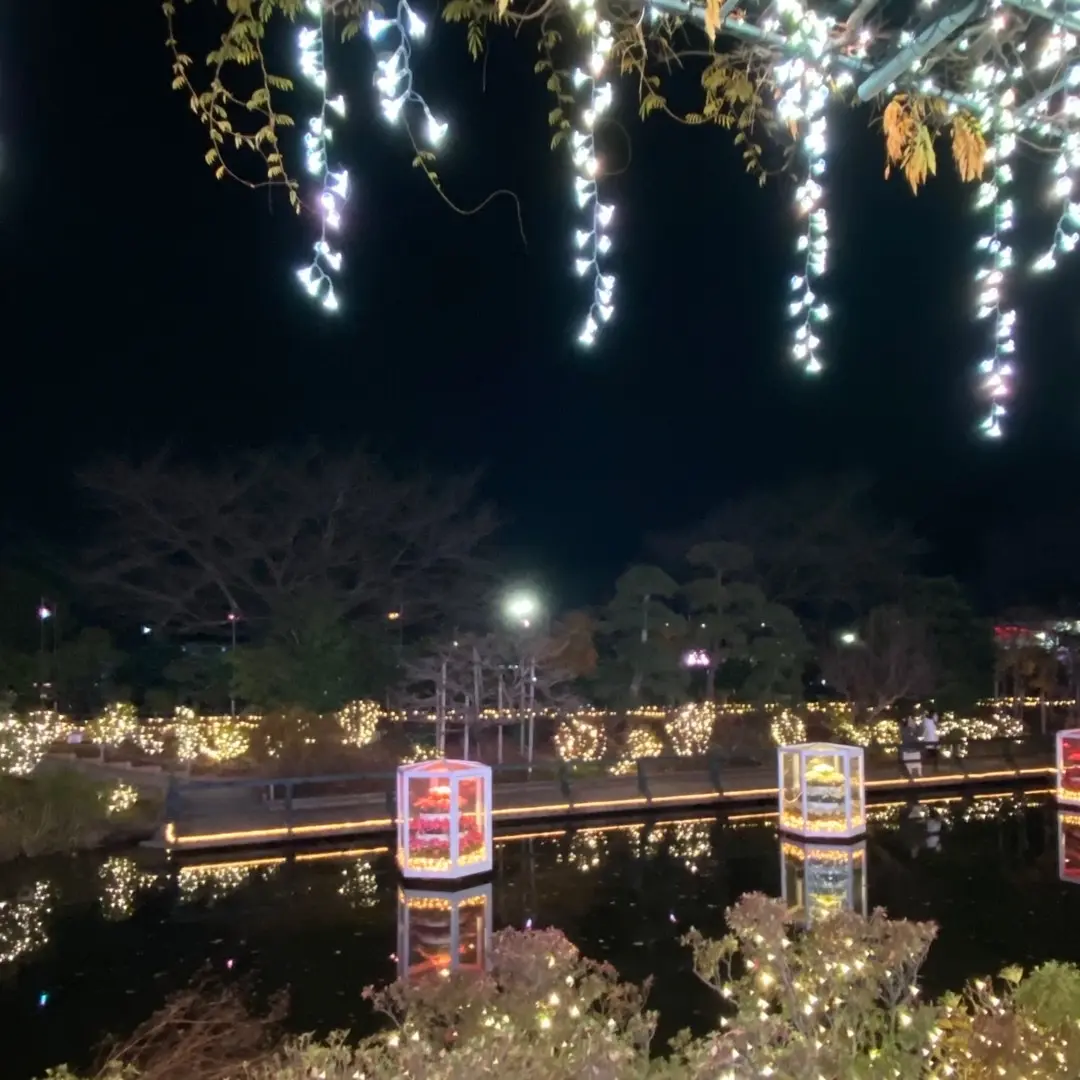 ルンルン気分で光の藤を見に♪の画像_6