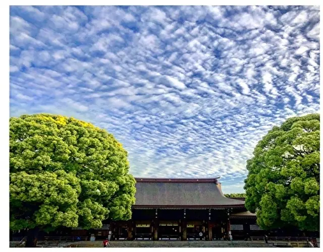 はじめまして！フェアリーですの画像_1