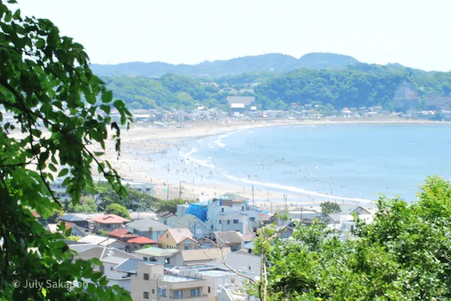 【さかぽんの冒険】海とアジサイの旅❤️@の画像_12