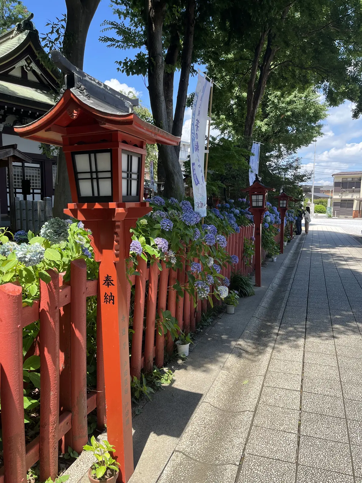 茅の輪くぐりと花手水の画像_2