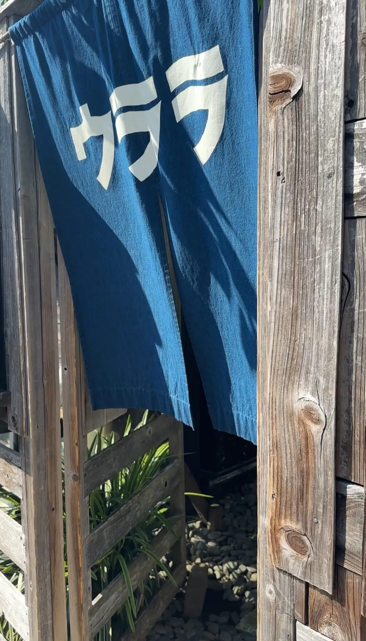 代官山で見つけた癒しカフェ、おひとり様もの画像_1